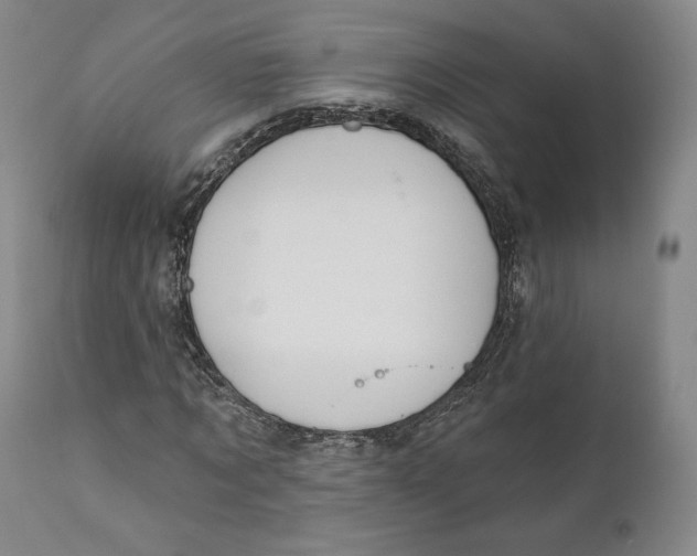 X0000110760869200907061052