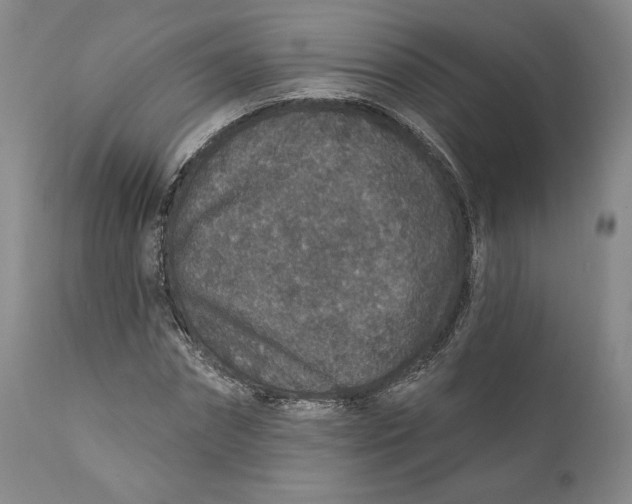 X0000110760874200907061052