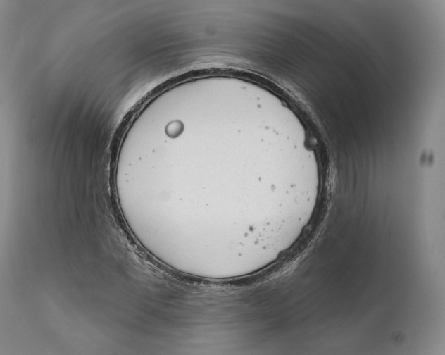 X0000110760877200907061052