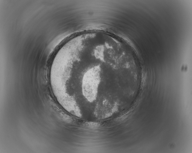 X0000110760878200907061052