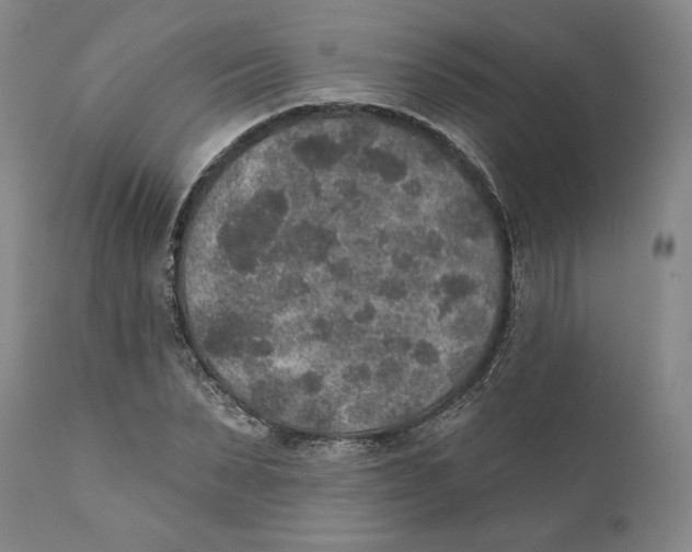 X0000110760879200907061052