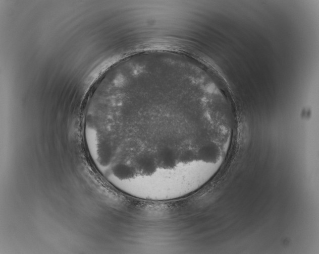X0000110760882200907061052