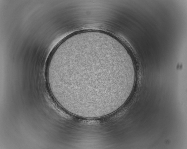 X0000110760884200907061052