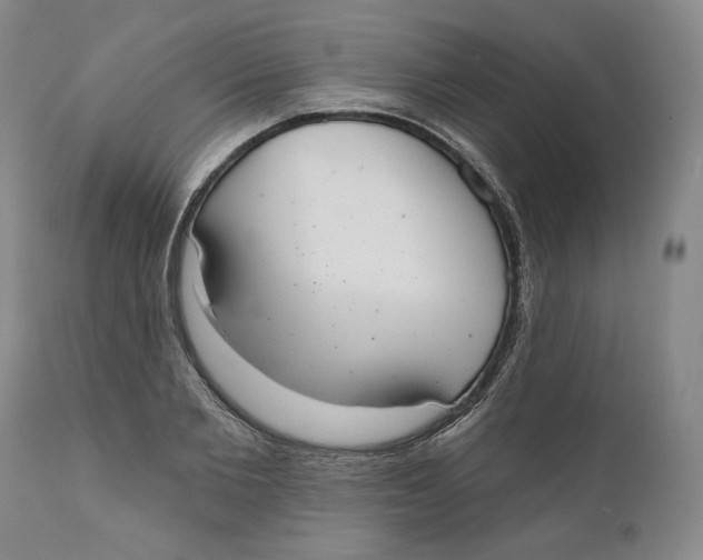 X0000110760885200907061052