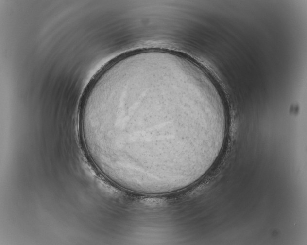 X0000110760888200907061052