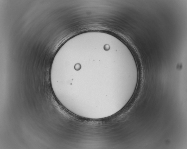 X0000110760889200907061052