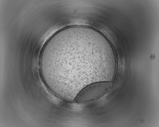 X0000110760893200907061052