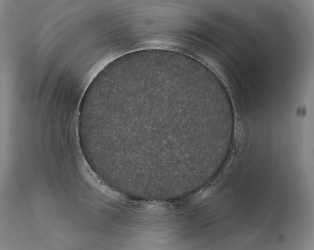 X0000110760899200907061052