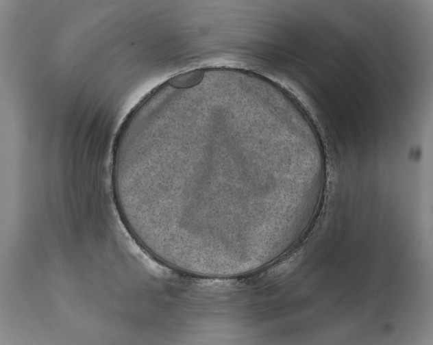 X0000110760902200907061052