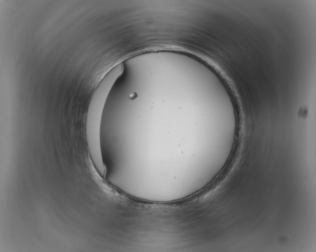 X0000110760905200907061052