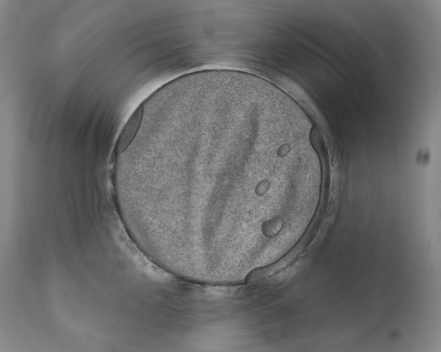 X0000110760908200907061052