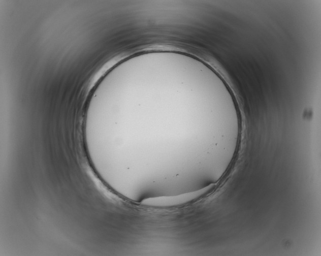 X0000110760909200907061052