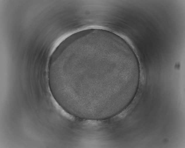 X0000110760910200907061052