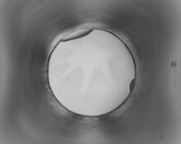X0000110760912200907061052