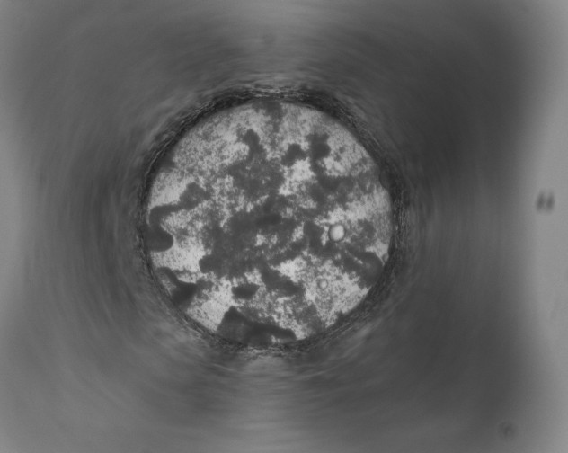X0000110760913200907061051