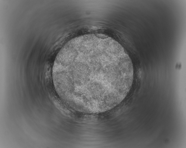 X0000110760914200907061051
