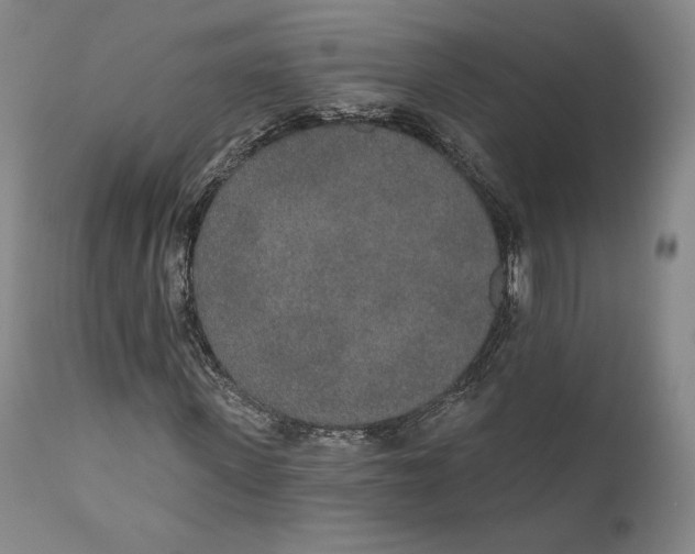 X0000110760915200907061051