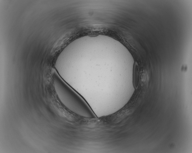 X0000110760916200907061051