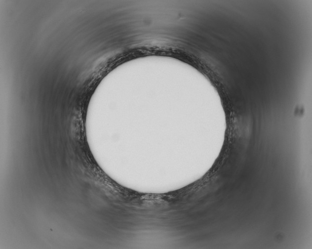 X0000110760918200907061051