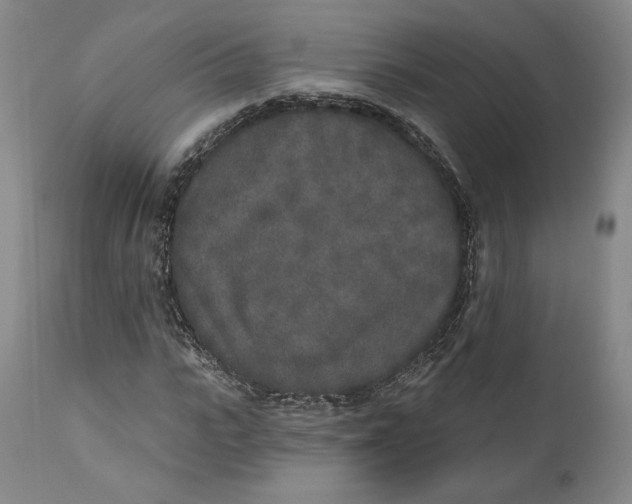 X0000110760919200907061051