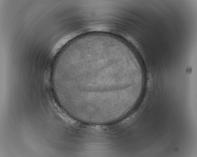 X0000110760922200907061051