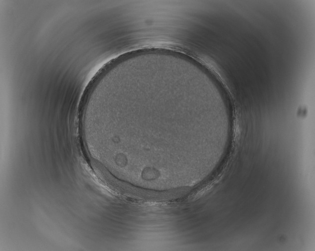 X0000110760924200907061051