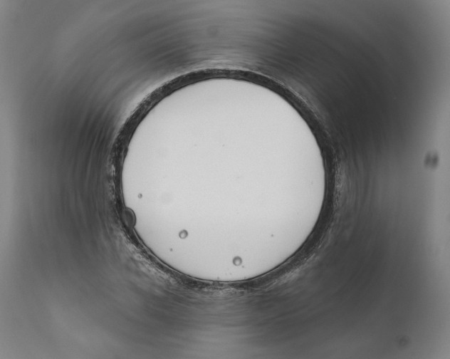 X0000110760926200907061051
