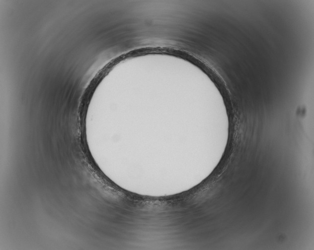 X0000110760927200907061051
