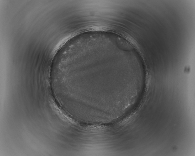 X0000110760930200907061051