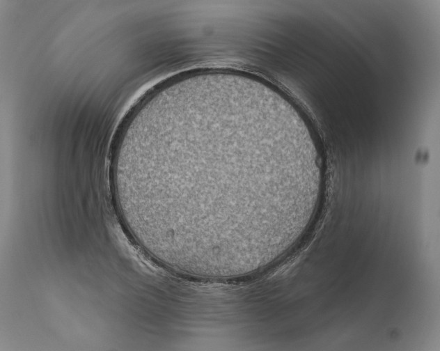 X0000110760932200907061051