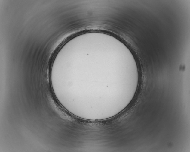 X0000110760934200907061051