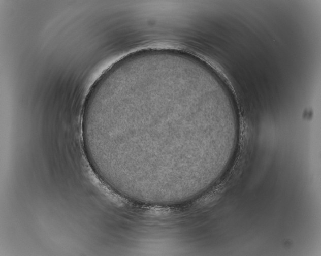 X0000110760935200907061051