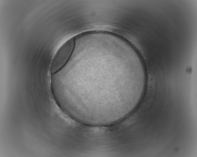 X0000110760936200907061051
