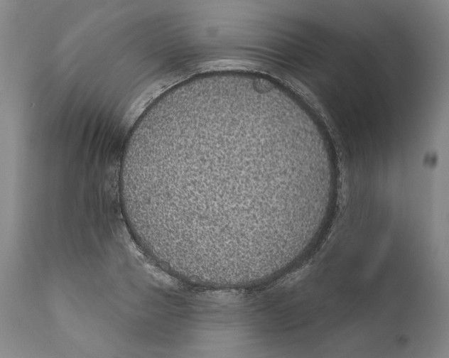X0000110760937200907061051