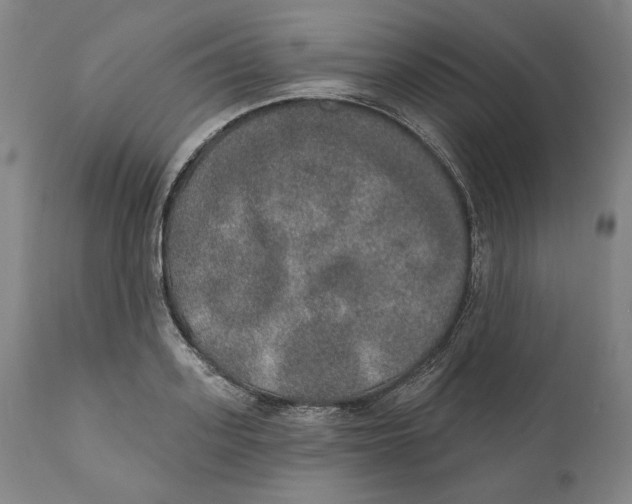 X0000110760939200907061051