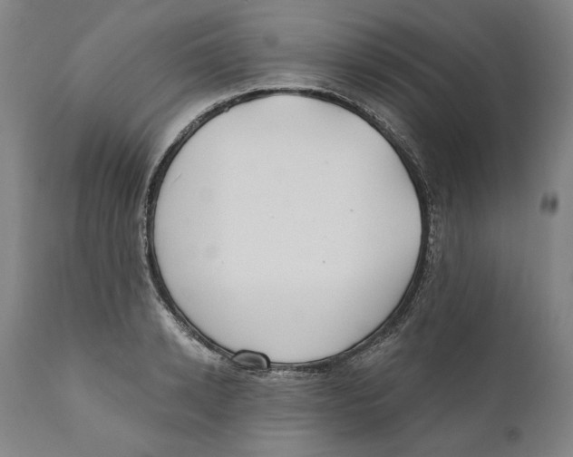 X0000110760942200907061051