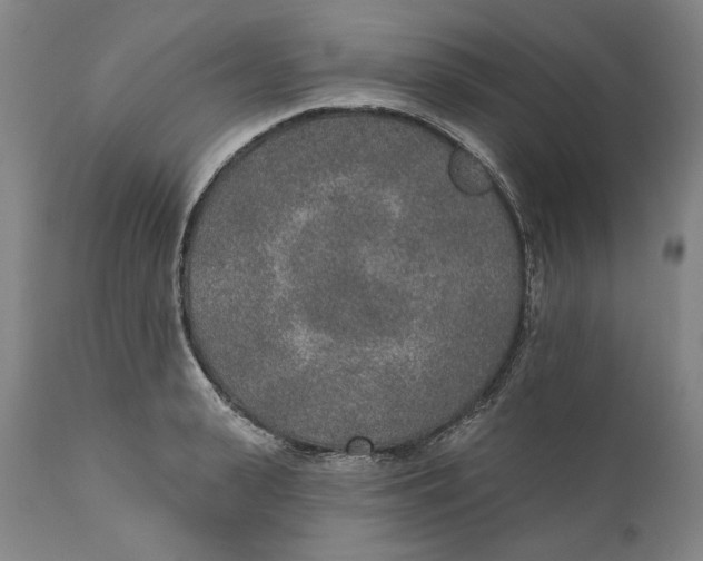 X0000110760943200907061051