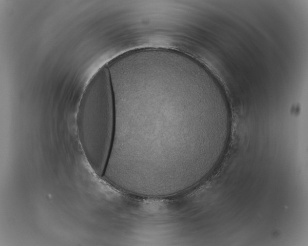 X0000110760944200907061051