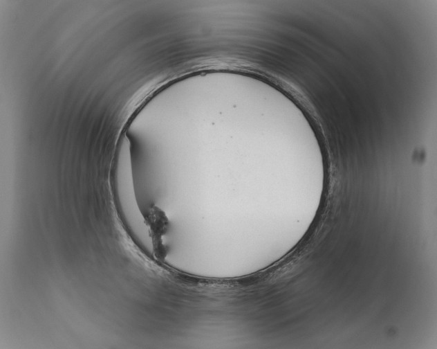 X0000110760946200907061051