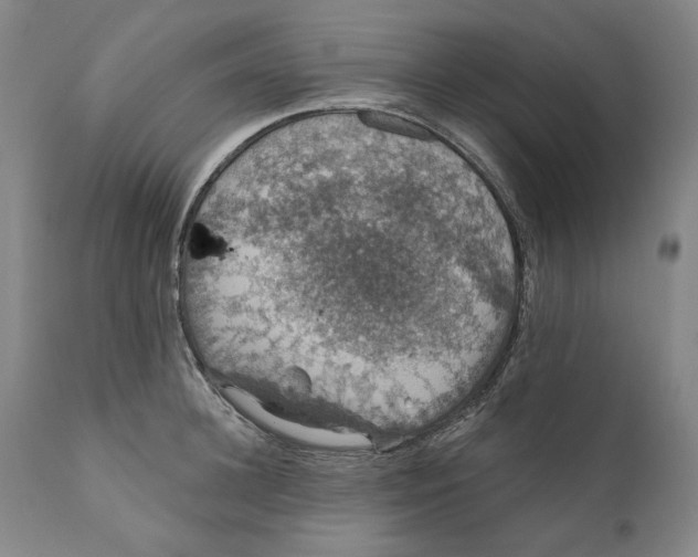 X0000110760948200907061052