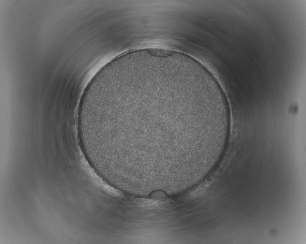 X0000110760949200907061052