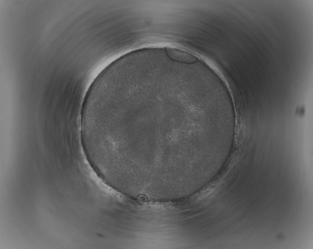 X0000110760951200907061052