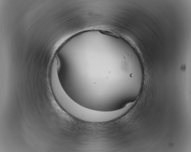 X0000110760952200907061052