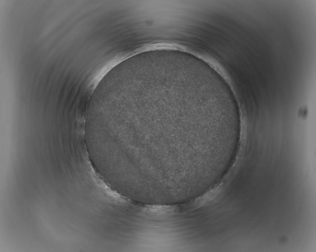 X0000110760953200907061052