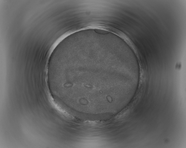 X0000110760955200907061052
