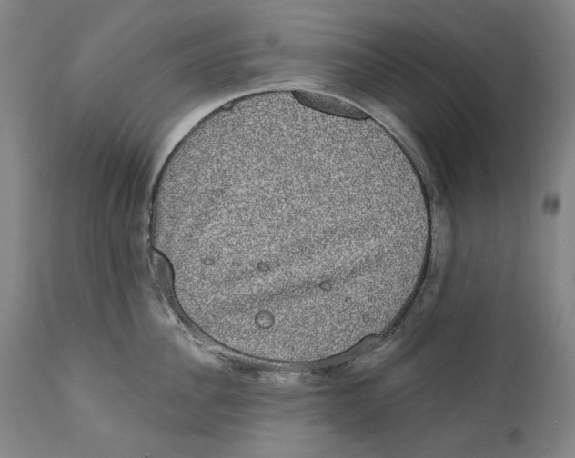 X0000110760956200907061052