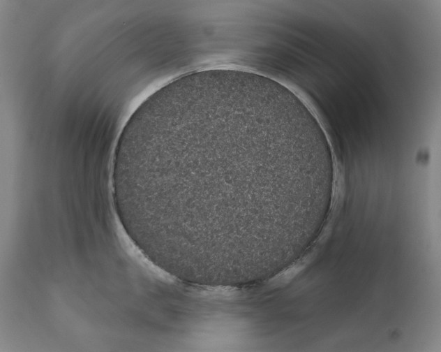X0000110760957200907061052