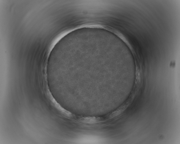 X0000110760959200907061052