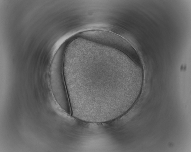 X0000110760960200907061052