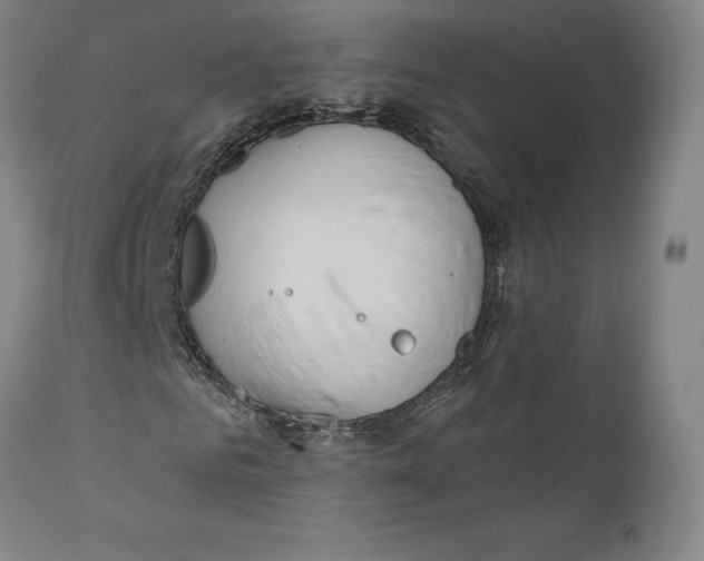 X0000110760961200907061051